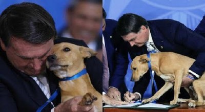 Bolsonaro promulgó una ley contra el maltrato animal e hizo "firmar" a un perro - Noticiero Paraguay