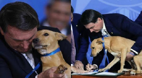 Bolsonaro promulgó una ley contra el maltrato animal e hizo "firmar" a un perro - Noticiero Paraguay
