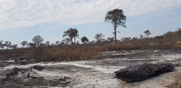 Imputan a propietarios de fincas por quemas forestales