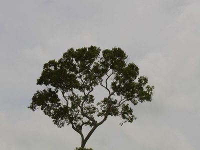 Ambiente agradable para este sábado tras ingreso de leve frente frío