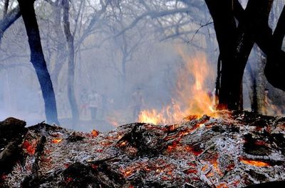 El Mades notifica a 476 propietarios para averiguar origen de incendios - Nacionales - ABC Color