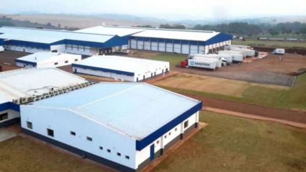 Frigorifico Concepción acordó prestación de servicios con FrigoNorte y comienza a faenar el martes