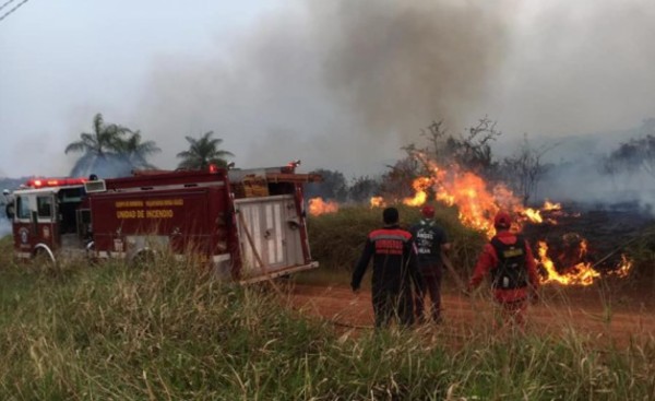Tres muertos a causa de incendios forestales en distintos municipios