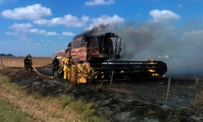 Incendios afectan a la producción
