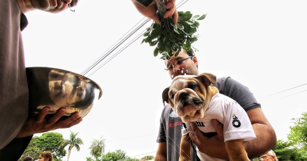 La Nación / Auto misas y la tradicional bendición de mascotas en honor a San Francisco de Asís