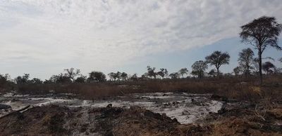 ANDE promete restablecer servicio en zona del Bajo Chaco que todavía sufre incendios forestales   - Nacionales - ABC Color