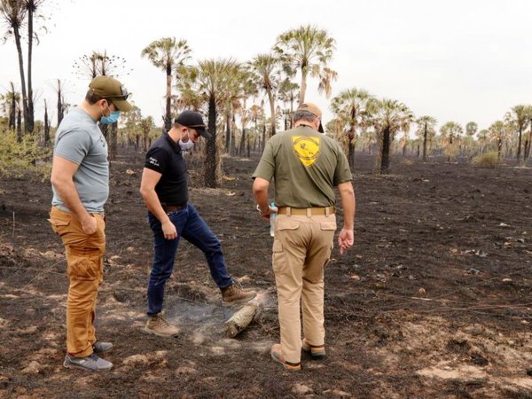 Incendios en General Bruguez están prácticamente controlados, según la SEN