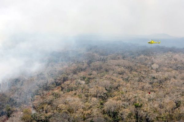 Dos gobernaciones bolivianas en emergencia por incendios forestales - Mundo - ABC Color