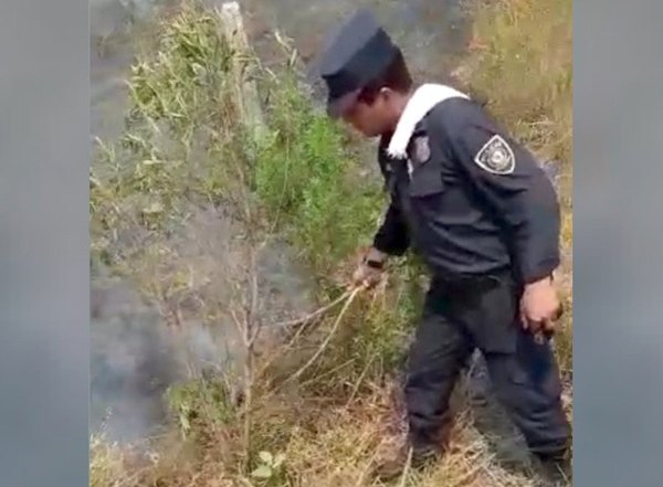 Crónica / Salvan colonia de un incendio tarova