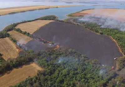 En Alto Paraná, muchos casos se dieron de manera intencional      - Nacionales - ABC Color