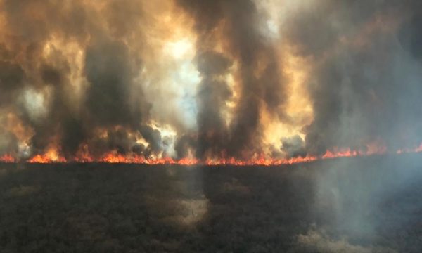 Incendios: ex ministro del Ambiente pide aplicar todo el peso de la ley