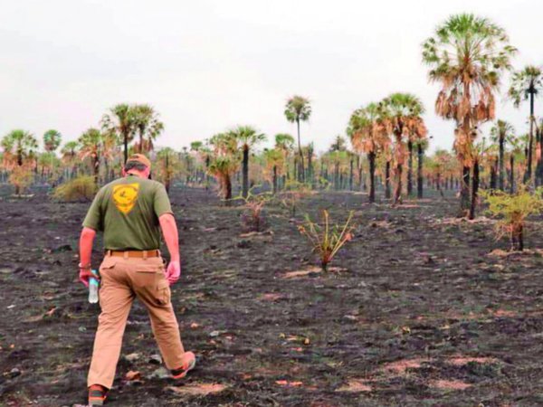 Bomberos celebran su día sofocando una de las mayores olas de incendio