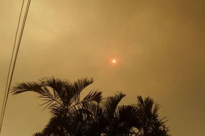 Domingo caluroso anuncia Meteorología