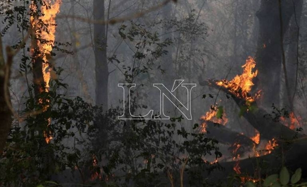HOY / Convocan a cadena humana para evitar más daños ambientales