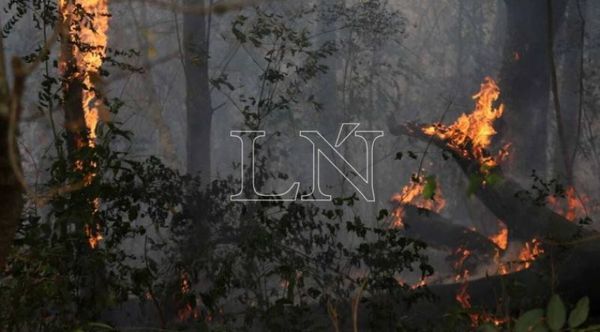 Convocan a cadena humana para evitar más daños ambientales