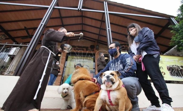 HOY / Bendicen a mascotas por el Día de Francisco de Asís