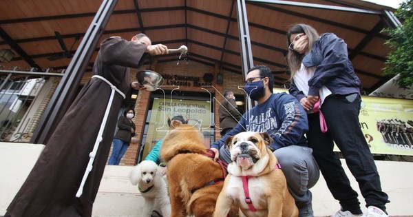 La Nación / Día del Animal: capuchinos bendicen a mascotas para llenar de amor a sus familias