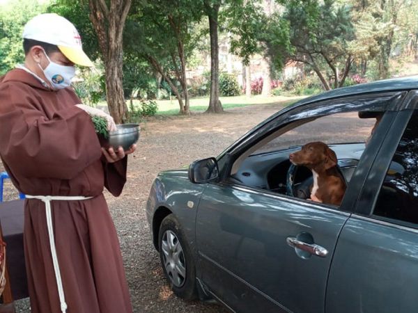 Bendicen a mascotas en modo Covid-19 por el Día Mundial de Animales