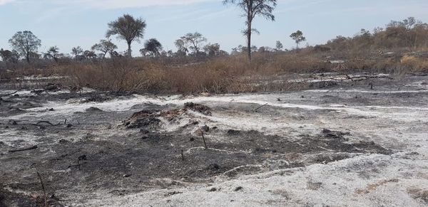 Van disminuyendo los focos de calor en todo el país - Nacionales - ABC Color