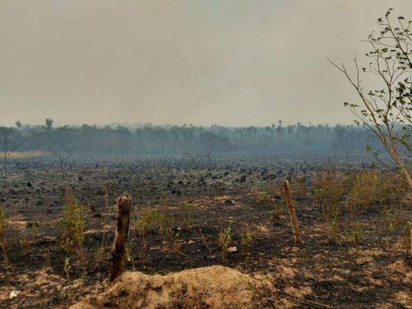 Producción de incendios forestales está tipificada como delito, recuerdan