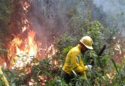 Viceministerio de Empleo gestiona permiso laboral a bomberos | Noticias Paraguay