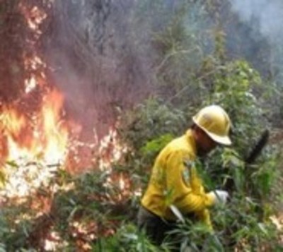 Viceministerio de Empleo gestiona permiso laboral a bomberos - Paraguay.com