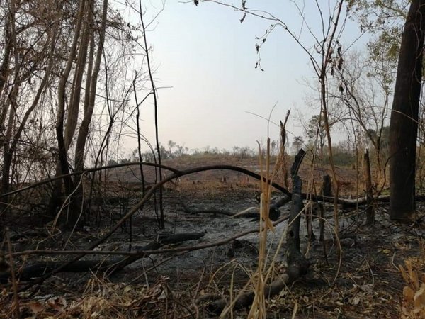 Parque Nacional Caazapá, con áreas devastadas por fuego incontrolable