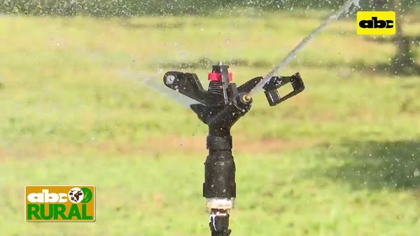 Abc Rural: Ventajas del sistema de riego por aspersión - ABC Rural - ABC Color