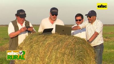 Abc Rural: Proceso de enfardado de acevén y sus ventajas - ABC Rural - ABC Color