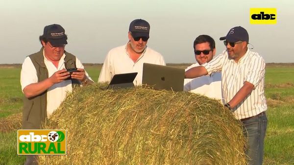 Abc Rural: Proceso de enfardado de acevén y sus ventajas - ABC Rural - ABC Color