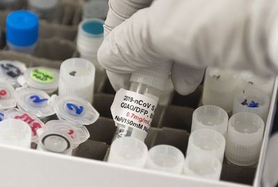 El Reino Unido solo prevé vacunar de coronavirus a parte de la población - Mundo - ABC Color