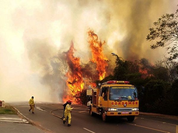 Incendios causan serios daños en la producción agropecuaria