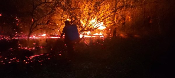 Crónica / ¡Batalla infernal! Bomberos luchan hasta en terreno “hostil”