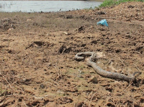 Crónica / “El mal se apoderó de nosotros, estamos desesperados” he'i pescador
