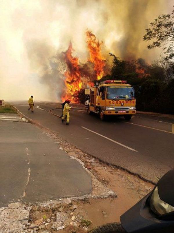 Incendios causan serios daños en la producción agropecuaria