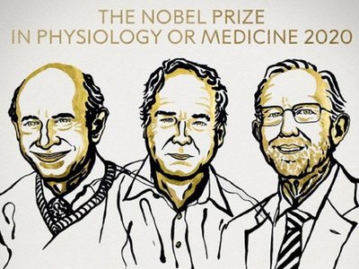 Nobel de Medicina a descubridores del virus de la hepatitis C