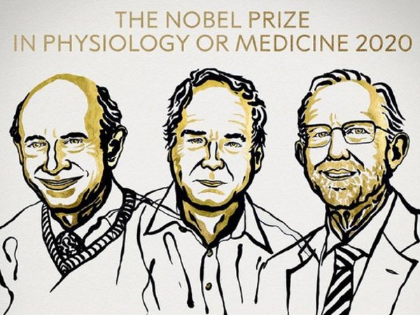 Nobel de Medicina a descubridores del virus de la hepatitis C