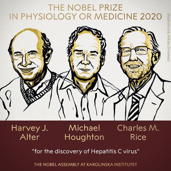 Nobel de Medicina a descubridores del virus de la hepatitis C - Mundo - ABC Color
