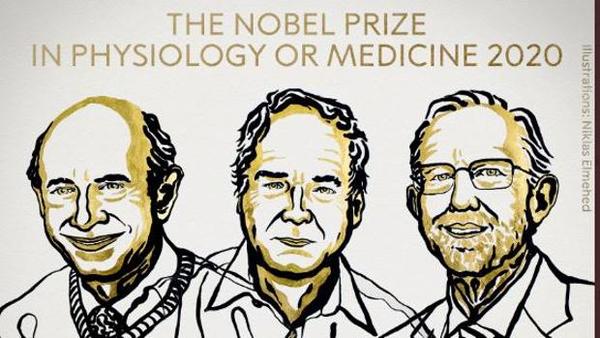 Premio Nobel de Medicina fue otorgado a tres investigadores por los descubrimientos del virus de la hepatitis C - Megacadena — Últimas Noticias de Paraguay