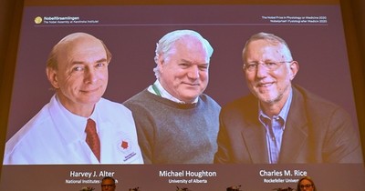 La Nación / Nobel de Medicina a tres descubridores del virus de la hepatitis C