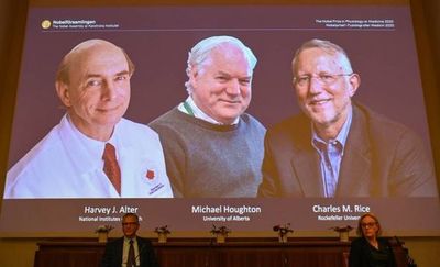 Nobel de Medicina a tres descubridores del virus de la hepatitis C