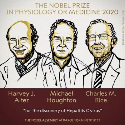 Nobel de Medicina para tres virólogos que descubrieron el virus de la hepatitis C