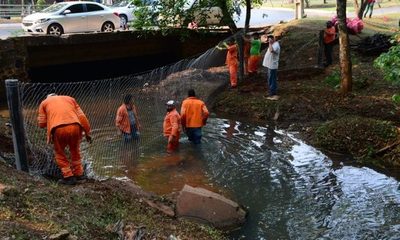 Inician trabajo para recuperar biodiversidad del lago y cauce del arroyo Amambay – Diario TNPRESS
