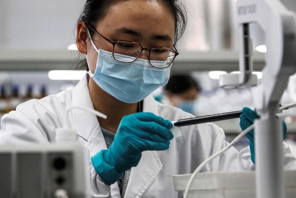 ¿Están desfasados los Nobel frente a la ciencia moderna colectiva? - Ciencia - ABC Color