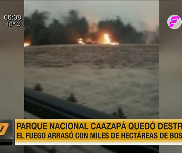 Incendio forestal en Parque Nacional Caazapá