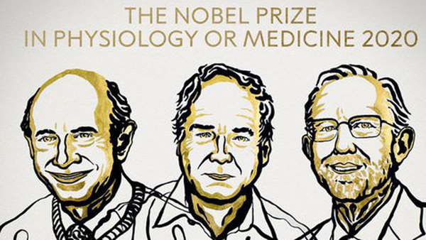 Distinguen con el Nobel de Medicina a los descubridores del virus de la hepatitis "C"