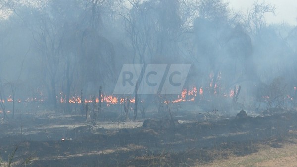 SEN y bomberos voluntarios combaten de forma conjunta incendios en el bajo Chaco