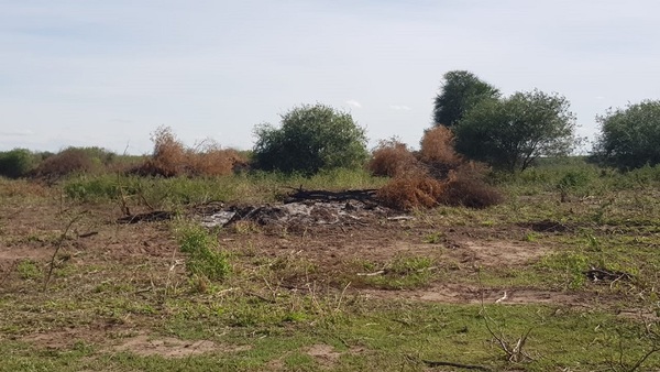 Afirman que el 90% de los focos de calor registrados fueron provocados