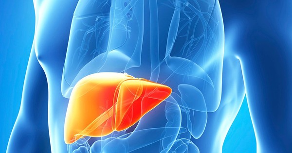 La Nación / Nobel de Medicina: hepatitis C, una enfermedad ‘silenciosa’