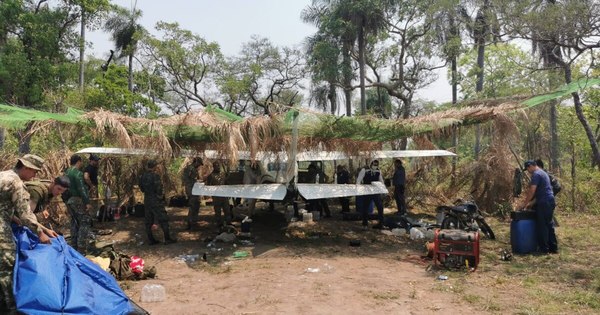 La Nación / Dos aviones incautados en pistas clandestinas en Concepción